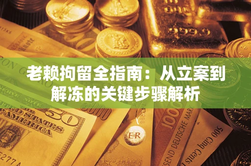 北京老赖拘留全指南：从立案到解冻的关键步骤解析