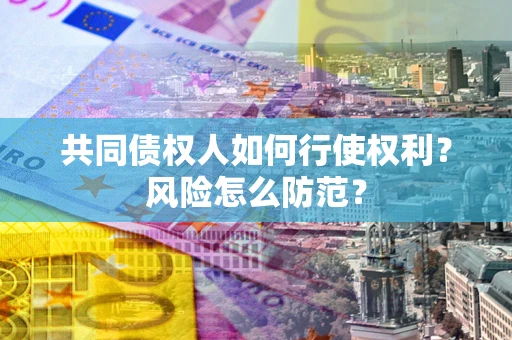 北京共同债权人如何行使权利？风险怎么防范？