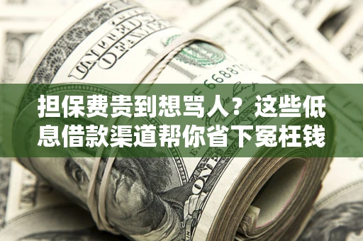 北京担保费贵到想骂人？这些低息借款渠道帮你省下冤枉钱