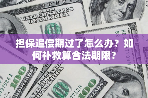 北京担保追偿期过了怎么办？如何补救算合法期限？