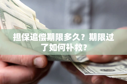 北京担保追偿期限多久？期限过了如何补救？